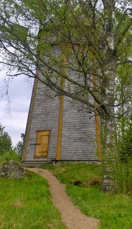 Museon avajaiset 2026